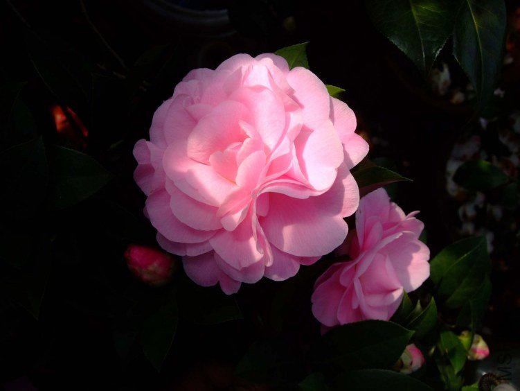 ������˹ 2013-3-18 179.jpg