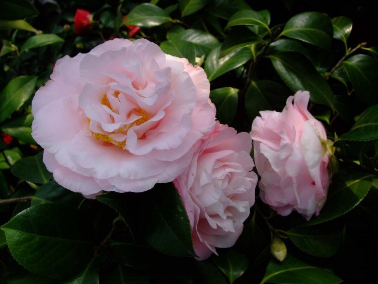 �����֮�� 2013-3-18 174.jpg
