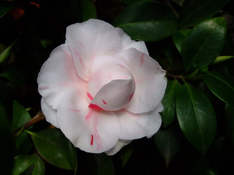 �����￨ 2013-3-18 162.jpg