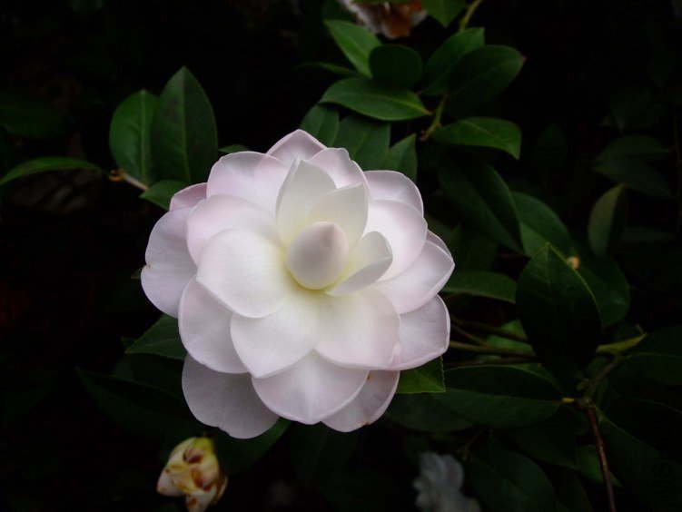 Ʈ�� 2013-3-18 140.jpg