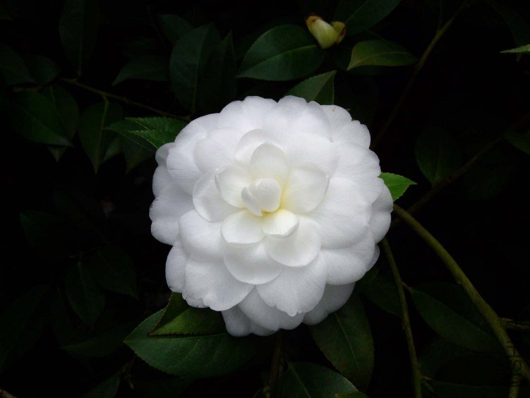 Ʈ�� 2013-3-18 142.jpg