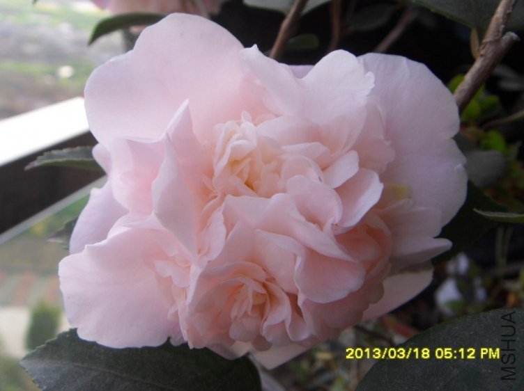 QQ��ͼ20130318174301.jpg