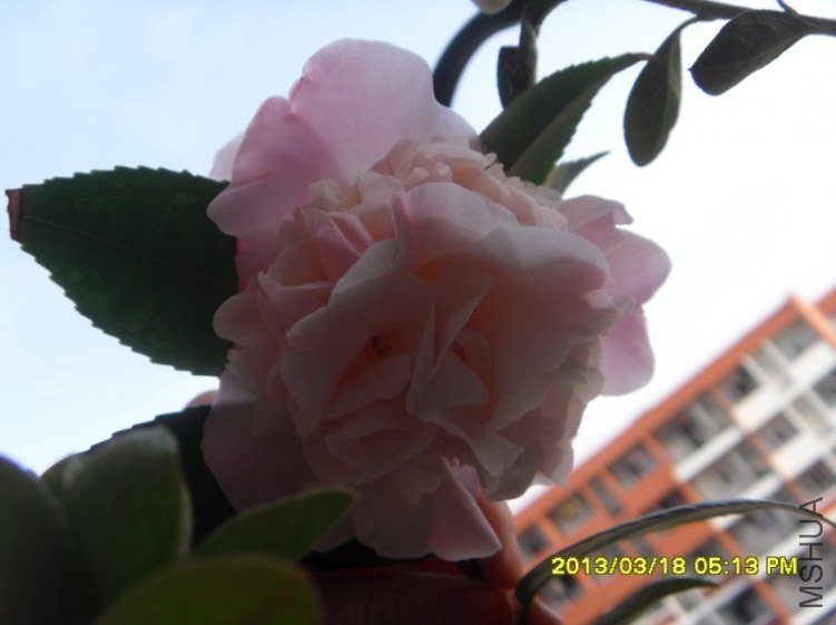 QQ��ͼ20130318174318.jpg
