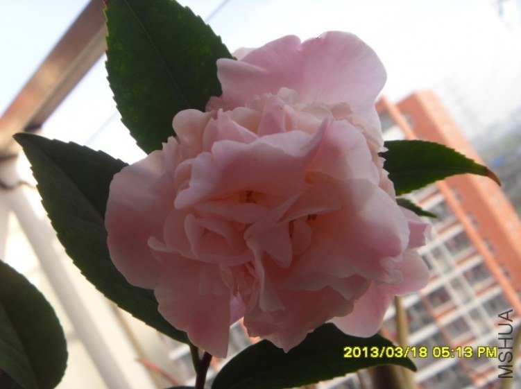 QQ��ͼ20130318174329.jpg