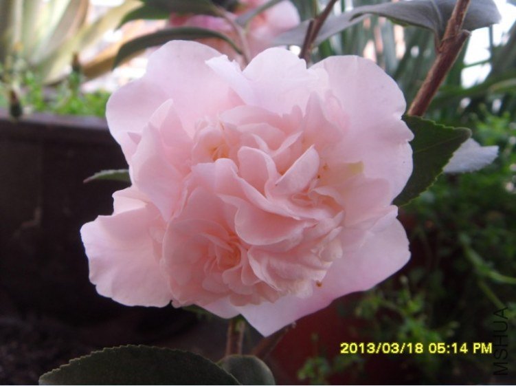 QQ��ͼ20130318174343.jpg
