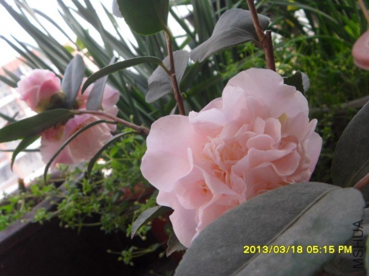 QQ��ͼ20130318174400.jpg