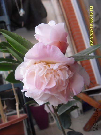 QQ��ͼ20130318174441.jpg