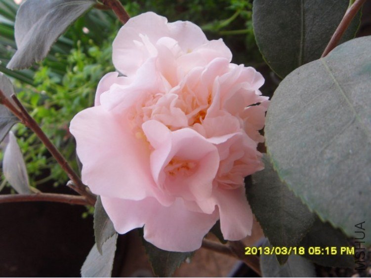 QQ��ͼ20130318174451.jpg