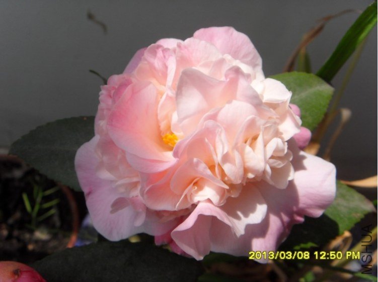 QQ��ͼ20130318174631.jpg