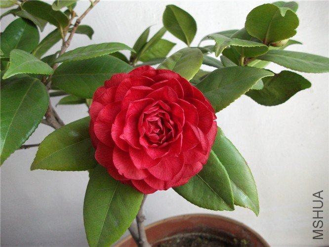 ��Ƭ 018.jpg