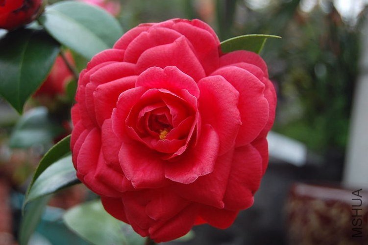 DSC_00590059.JPG