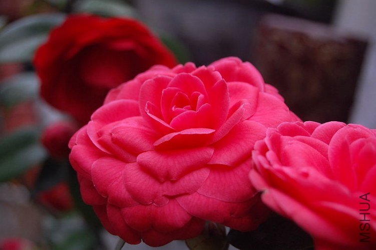 DSC_01280128.JPG