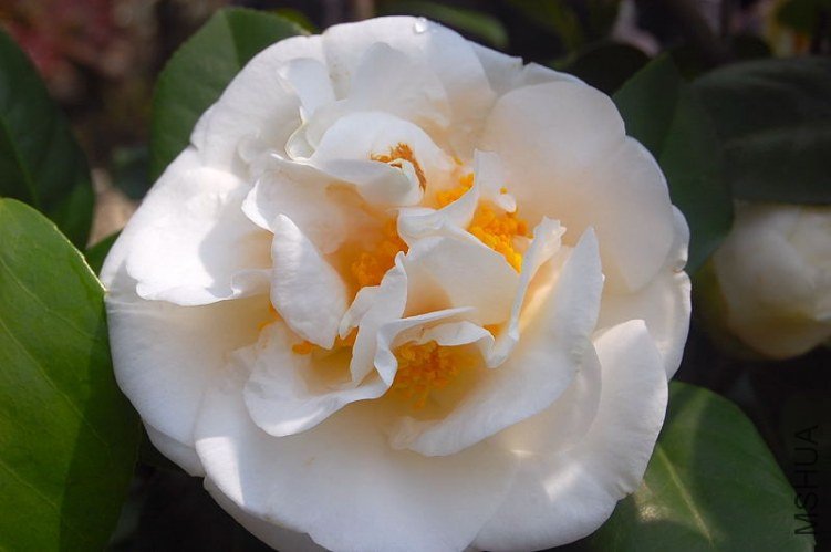 DSC_00720072.JPG