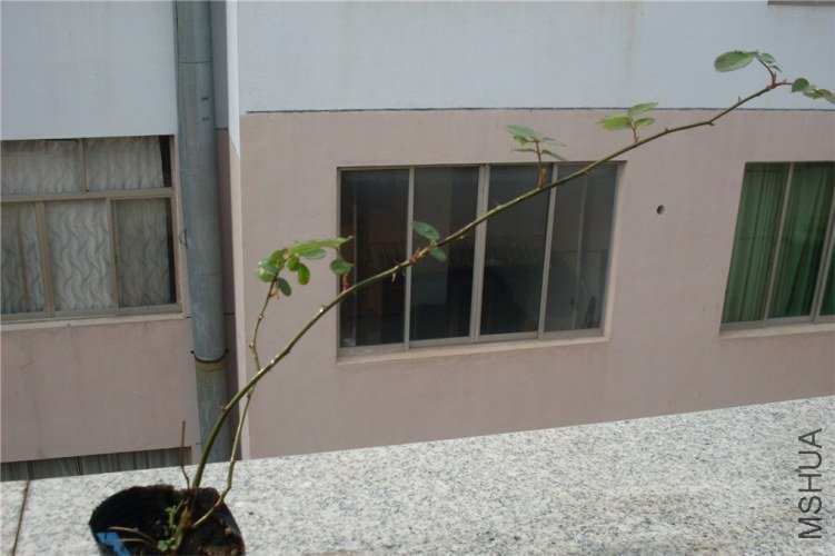 SDC14971_����.jpg