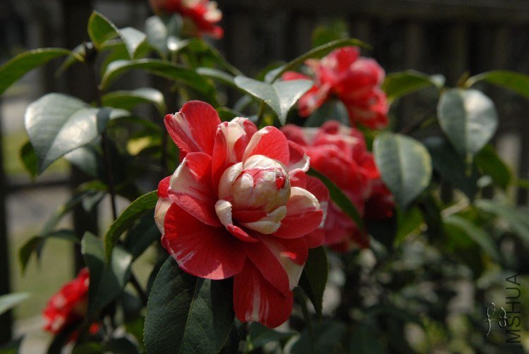 3-30��˹ͨ3 (3).jpg