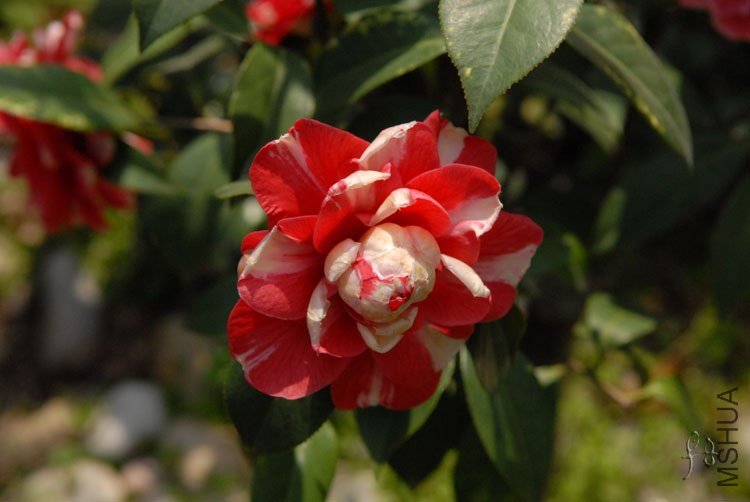 3-30��˹ͨ3 (1).jpg