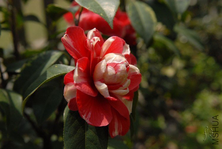 3-30��˹ͨ3 (2).jpg