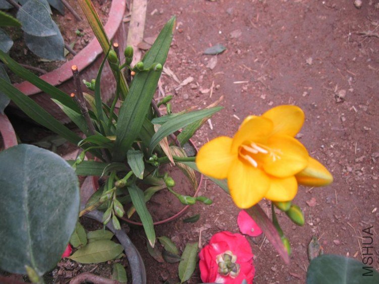 IMG_5375.jpg