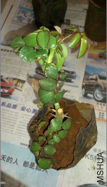QQ��ͼ20130319152746.jpg