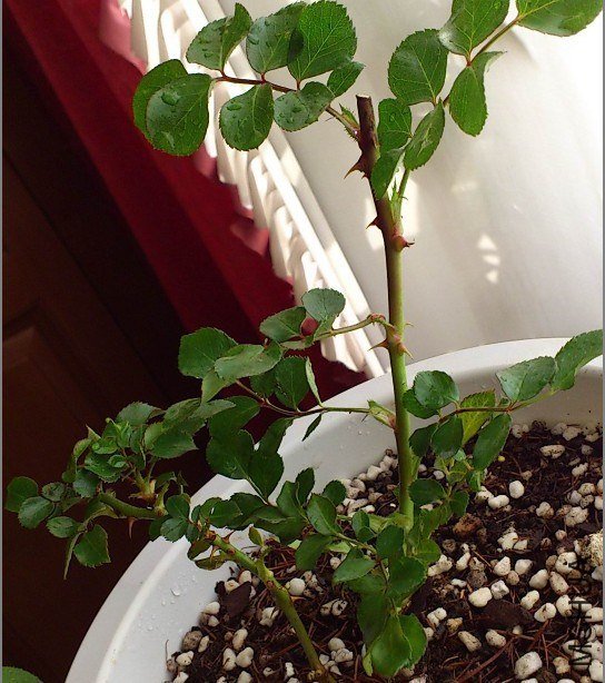 QQ��ͼ20130319153012.jpg