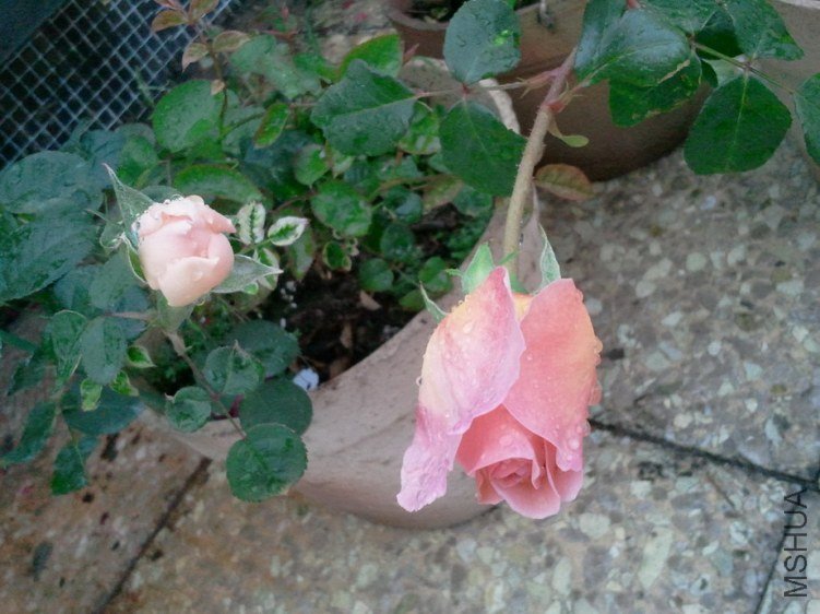 2013-03-19 16.11.25.jpg