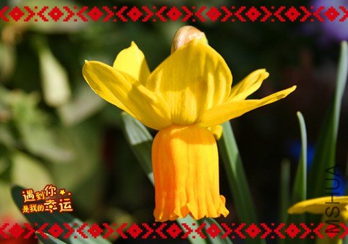 ��Ƭ 101_����.jpg