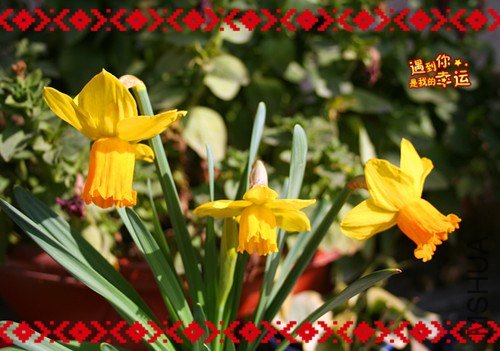 ��Ƭ 100_����.jpg