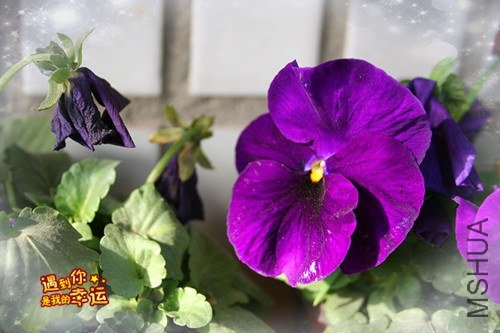 ��Ƭ 045_����.jpg