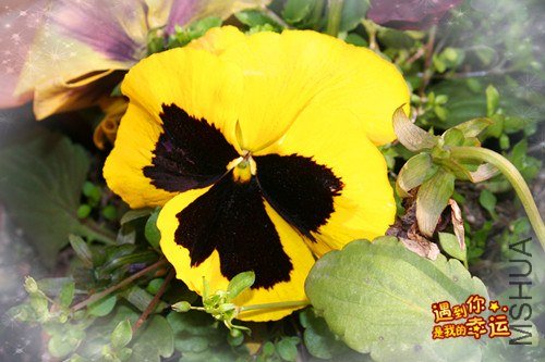 ��Ƭ 013_����.jpg