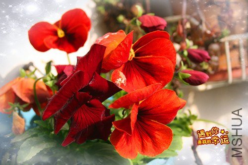 ��Ƭ 014_����.jpg