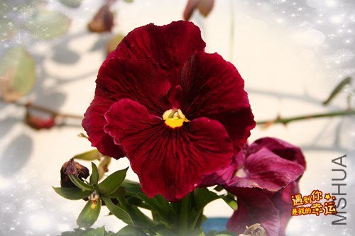 ��Ƭ 016_����.jpg