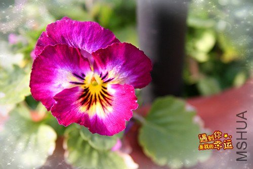 ��Ƭ 029_����.jpg