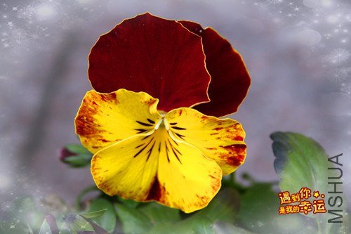 ��Ƭ 031_����.jpg