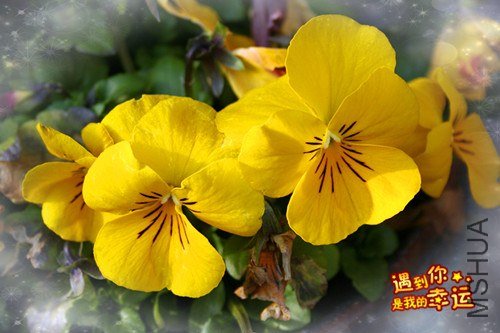 ��Ƭ 033_����.jpg