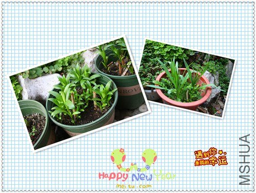 ��Ƭ 081_����.jpg