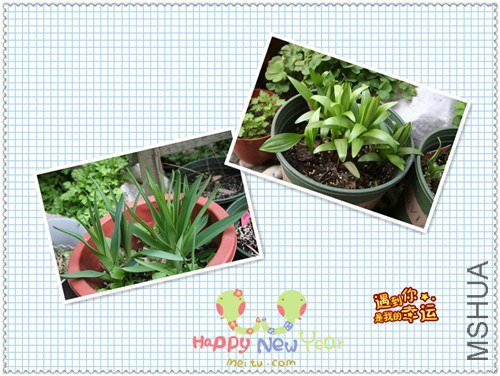 ��Ƭ 079_����.jpg