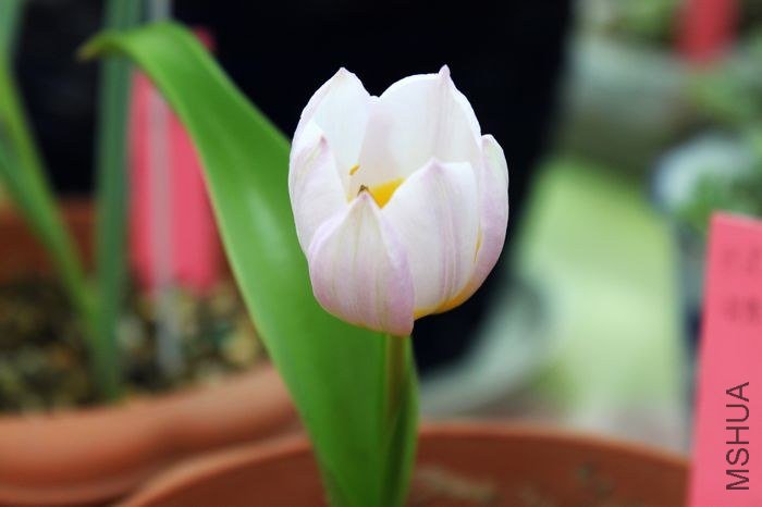 nEO_IMG_IMG_5026.jpg