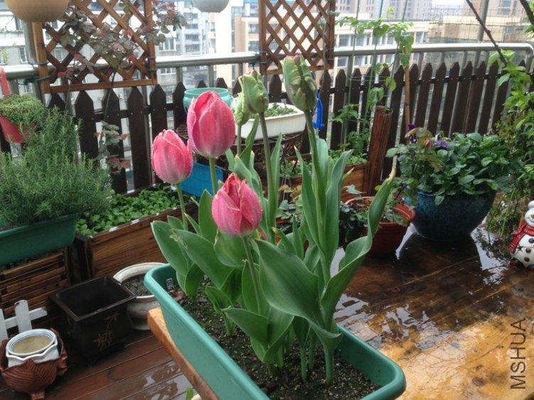 1303131018.jpg