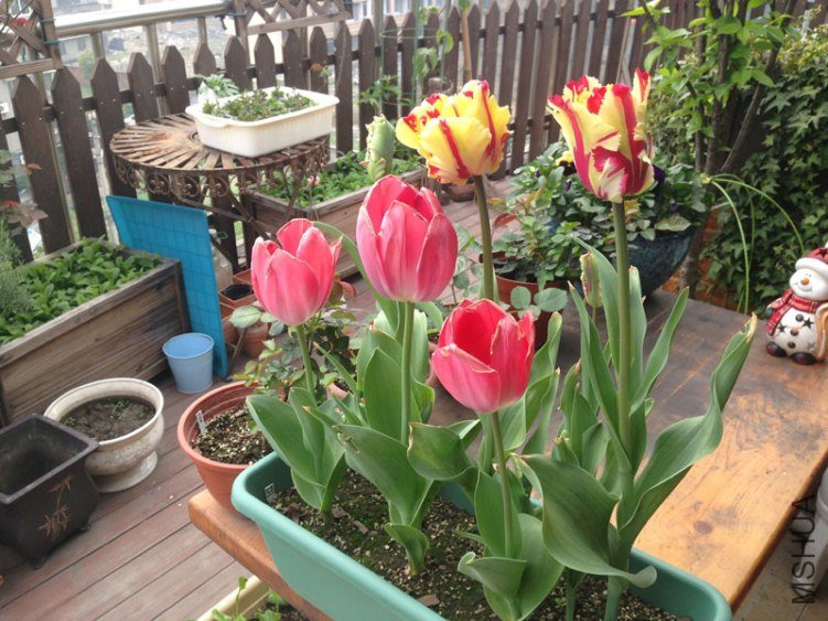 1303161237.jpg