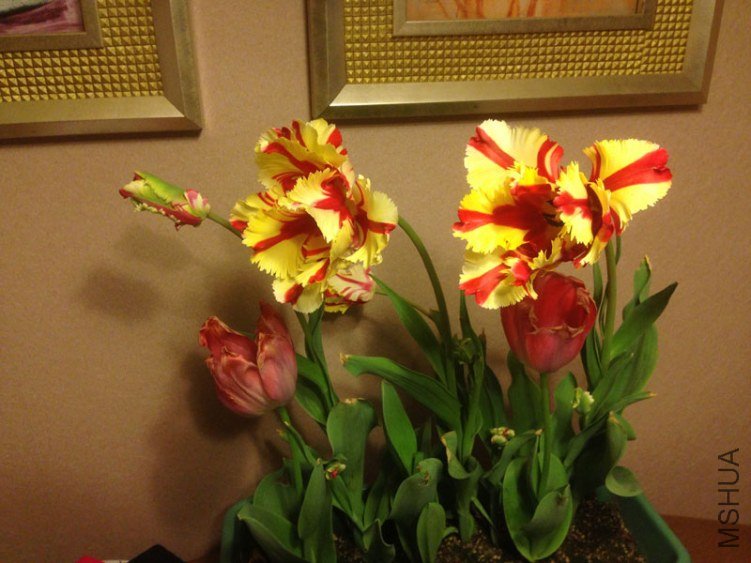 1303192042.jpg