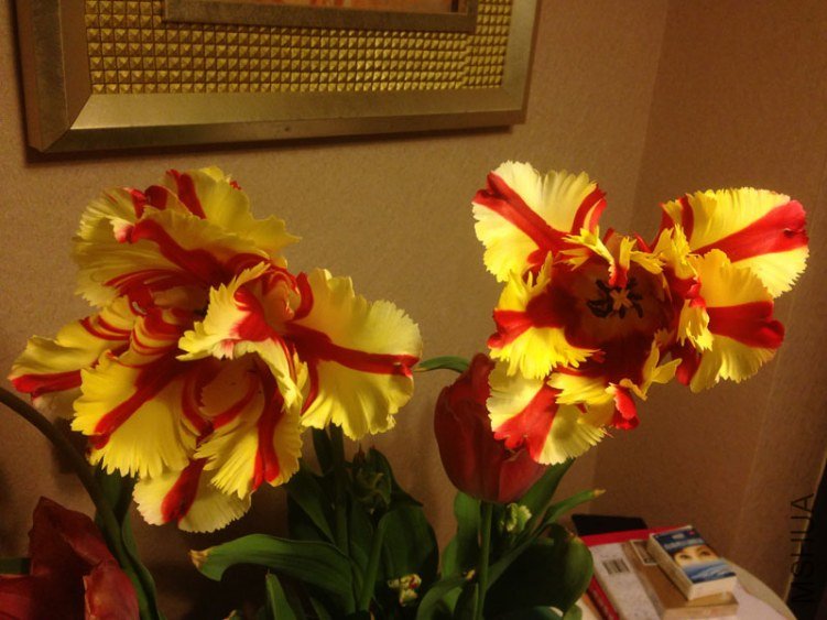 1303192043.jpg