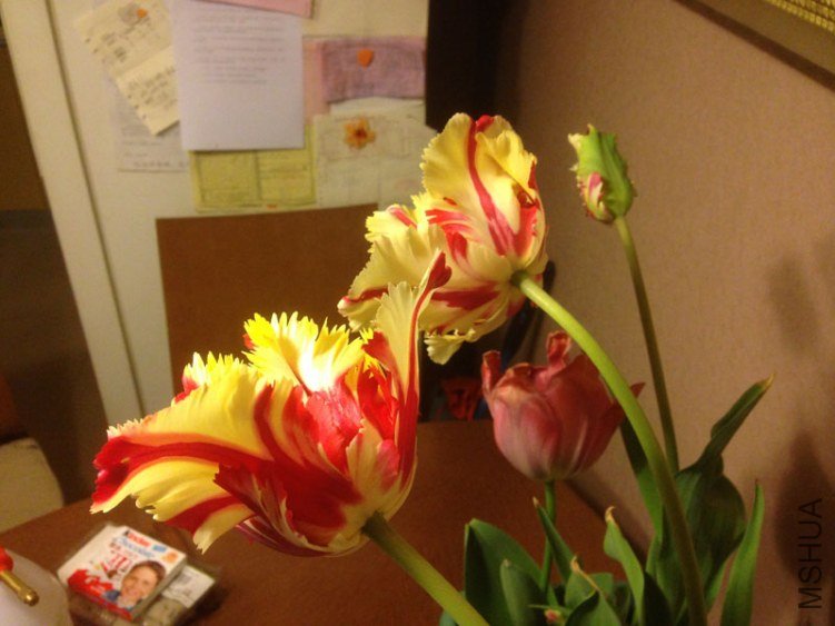 1303192044.jpg