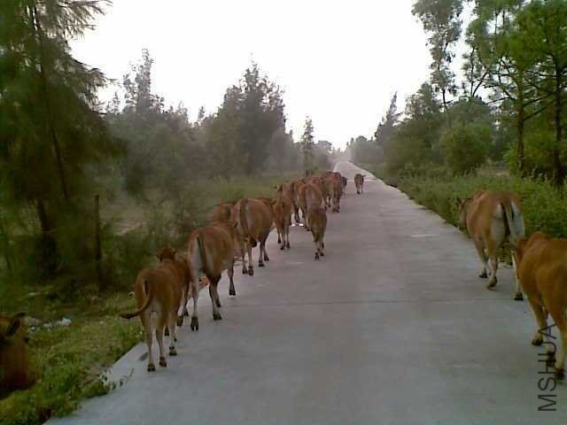 �����Ⱥţ���ҵ���Ⱥţ����