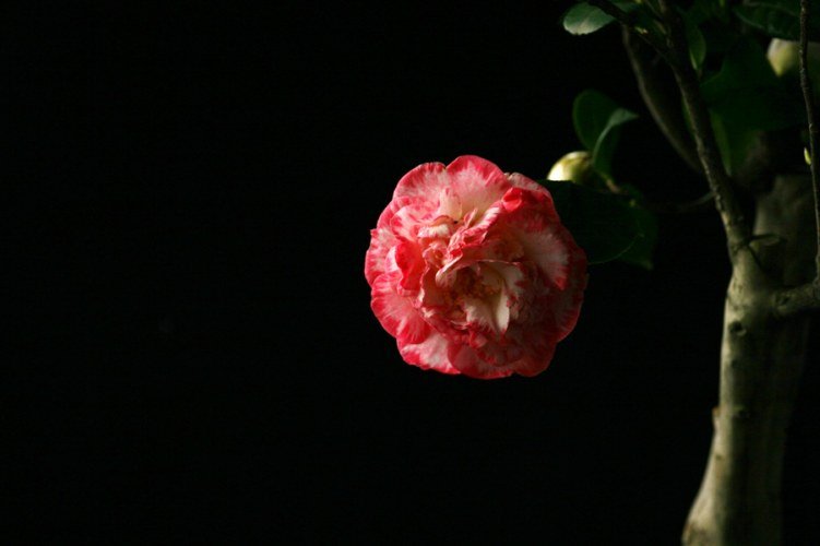 Ů�ʶ���.jpg