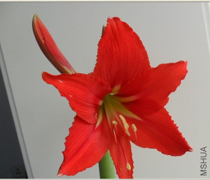 U6XCW82[F(3G)X[04I4_6~U.jpg