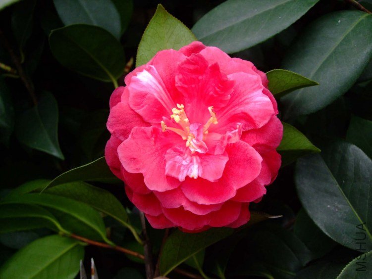 �׶��� 2013-3-20 108.jpg