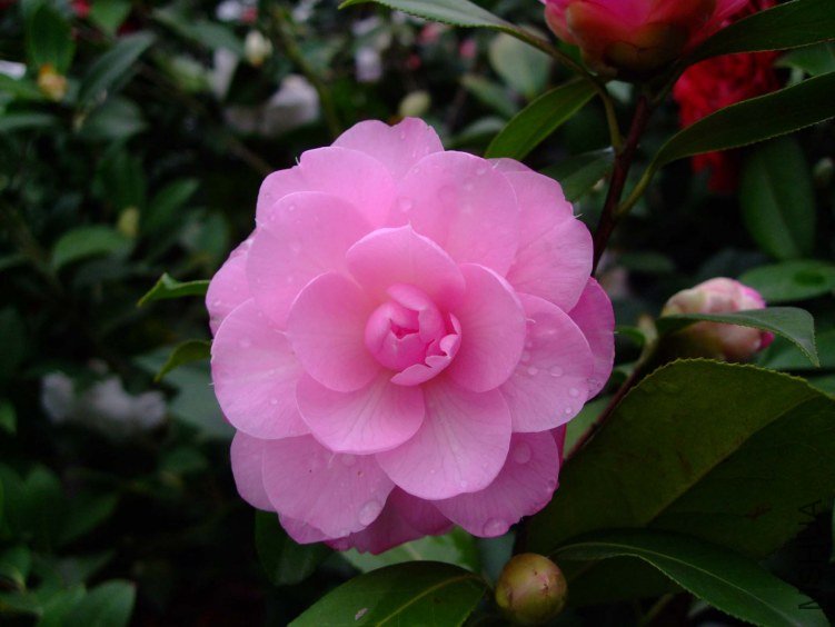 ���� 2013-3-20 119.jpg