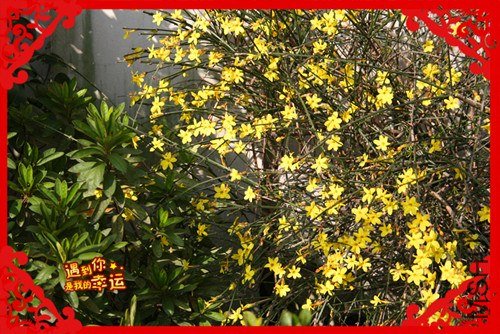 ��Ƭ 043_����.jpg