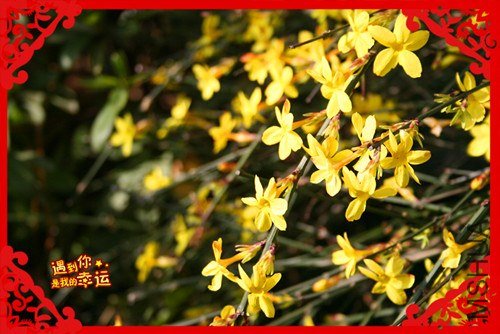 ��Ƭ 044_����.jpg