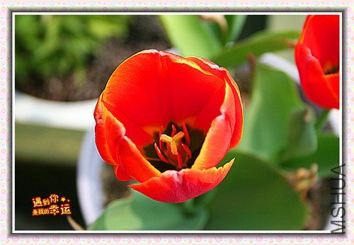 ��Ƭ 152_����.jpg